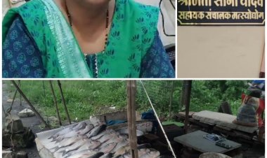 मत्स्य विभाग ने 85 किलोग्राम मछलियां पकड़ कार्यवाही की