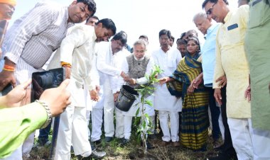 56 वे जन्मदिन पर दसेड़ा ने लिया  5600 पौधे लगाने का संकल्प