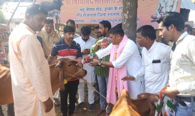 जनसंपर्क के पहले श्री डिंडोर ने की गौमाता की पूजा, मिल रहा ग्रामीणों का अपार जनसमर्थन