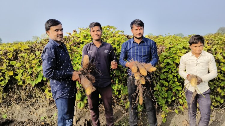 स्वाद के शौकीनों की पहली पसंद गराडु, बढ़ती ठंड के साथ मौसम के राजा गराडु की मांग बड़ी जिले सहित अन्य राज्यो में भी है मांग