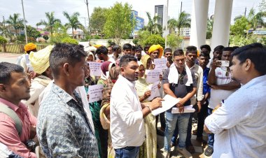 ग्राम पंचायत पलाश के ग्रामीणों ने कलेक्ट्रेट पहुंच कर ज्ञापन दिया, लगाया फर्जी बिल से भुगतान का आरोप