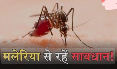 रतलाम:डेंगू से बचाव के संबंध में एडवाईजरी जारी,  डाक्टर बोले - डेगू को हराने के लिए साझेदारी आवश्यक, जानिए कैसे डेंगू की रोकथाम अपने घर से शुरू करे  