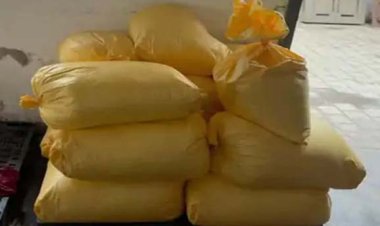 गुजरात के अंकलेश्वर में 5 हजार करोड़ की कोकीन बरामद, ड्रग्स सिडिकेट के खिलाफ 11 दिन में तीसरी बड़ी कार्रवाई