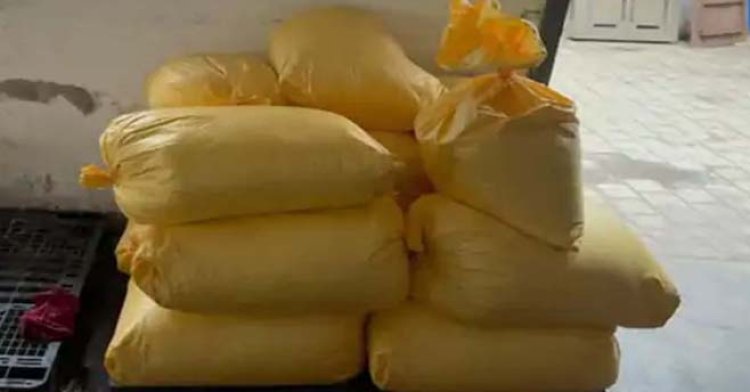 गुजरात के अंकलेश्वर में 5 हजार करोड़ की कोकीन बरामद, ड्रग्स सिडिकेट के खिलाफ 11 दिन में तीसरी बड़ी कार्रवाई