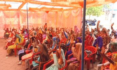 ग्राम पंचायत पलसोड़ी में अंतराष्ट्रीय महिला दिवस पर सहप्रशिक्षण व महिला सभा का आयोजन