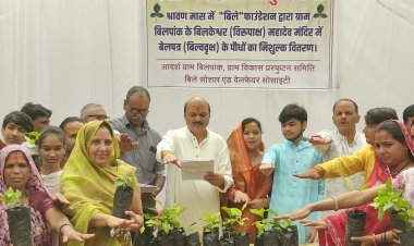 मातृशक्ति अब हरियाली सखी बनकर करेगी पर्यावरण के प्रति जागरूकता का कार्य-कलेक्टर