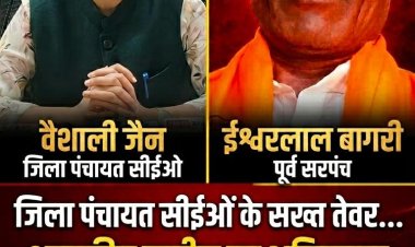 जिला पंचायत सीईओं के सख्त तेवर...शासकीय जमीन पर अतिक्रमण करने वाले सरपंच को पद से हटाया, 10 हजार का अर्थदंड भी लगाया
